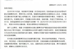 中国象棋协会：棋手白筱磊比赛时用手机软件作弊，禁赛一年